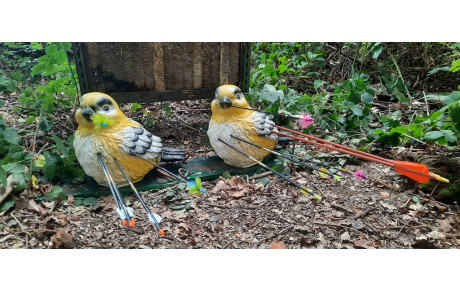 Concours 3D Gentelles-Villers Bretonneux (Amiens)